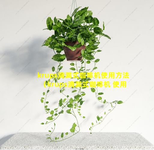 krups滴漏式咖啡机使用方法（krups滴漏式咖啡机 使用方法）